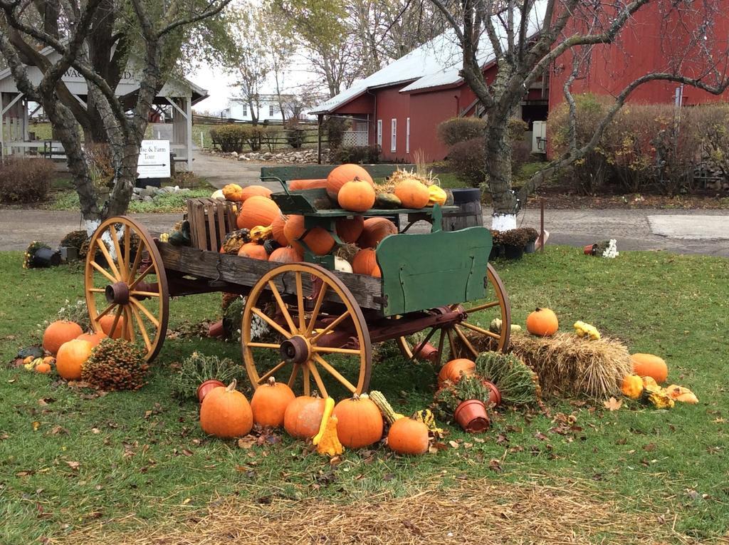 Countryside Inn Nappanee Eksteriør bilde